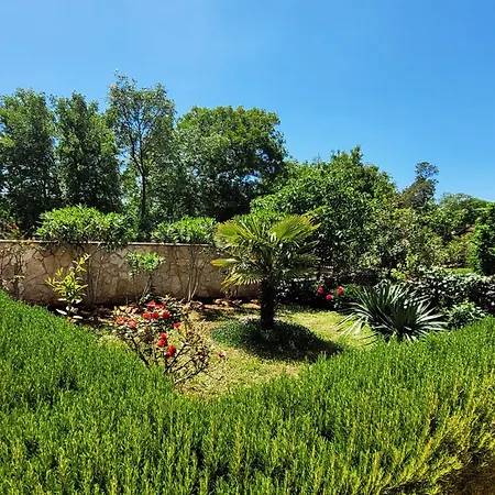 Dani * Sveti Anton (Krk)